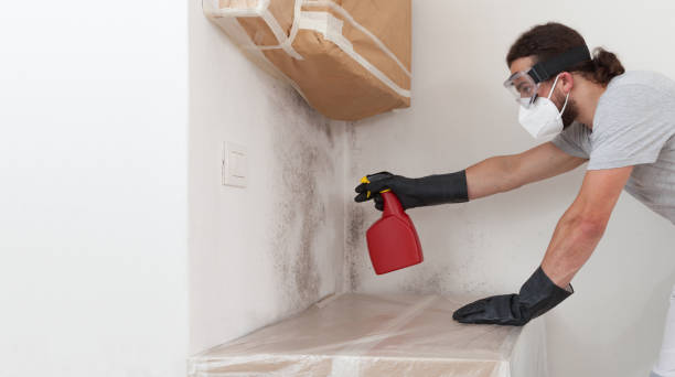 Professional Bathroom Mold Removal technician working in Elizabeth, PA
